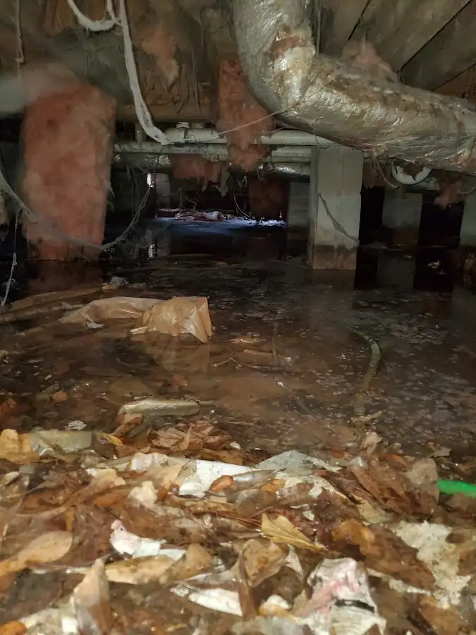 Crawl space flood assessment for Leak Detection & Repair in Pensacola